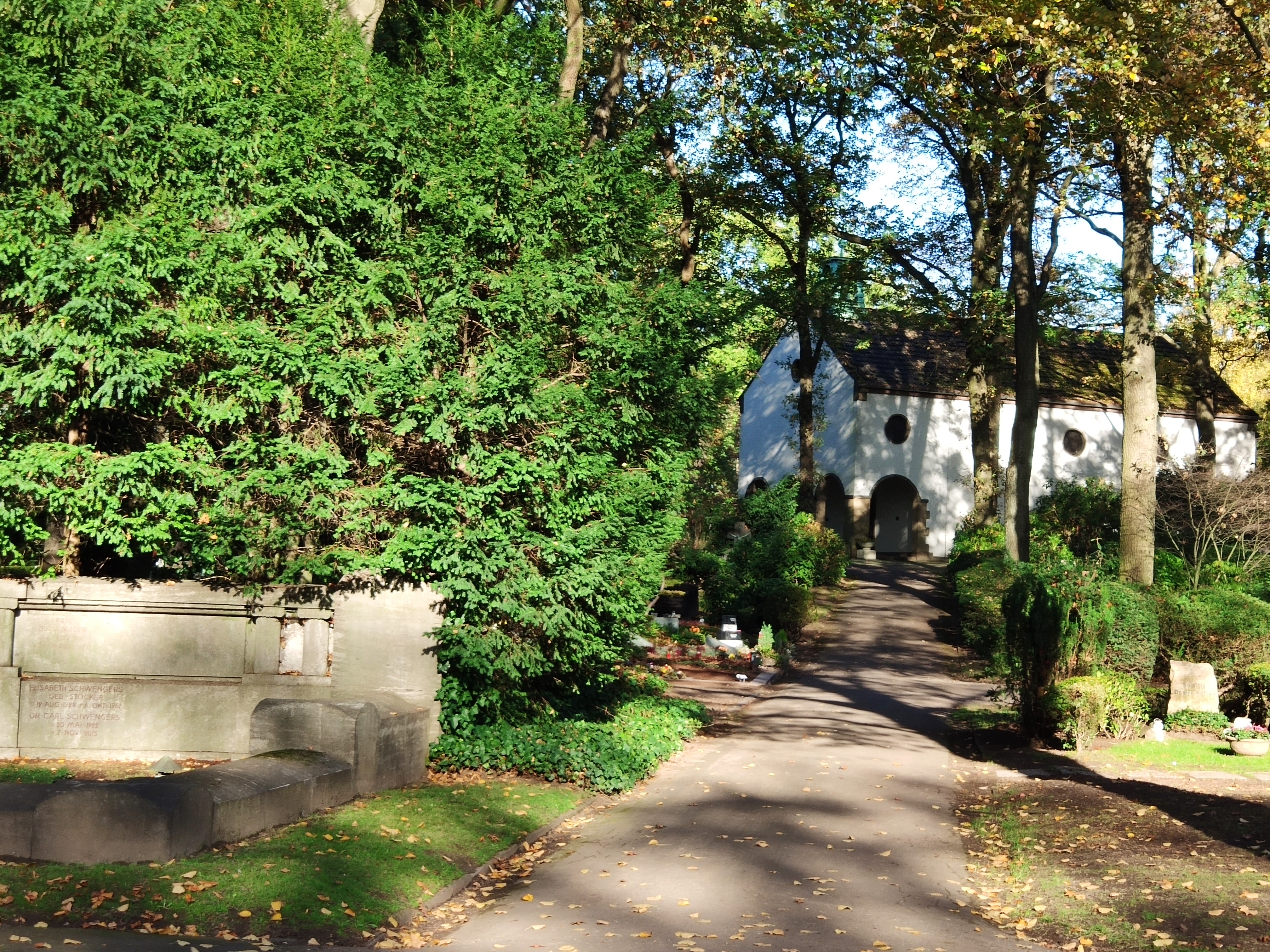 CoronaMaßnahmen Chancen? Edith Furtmann